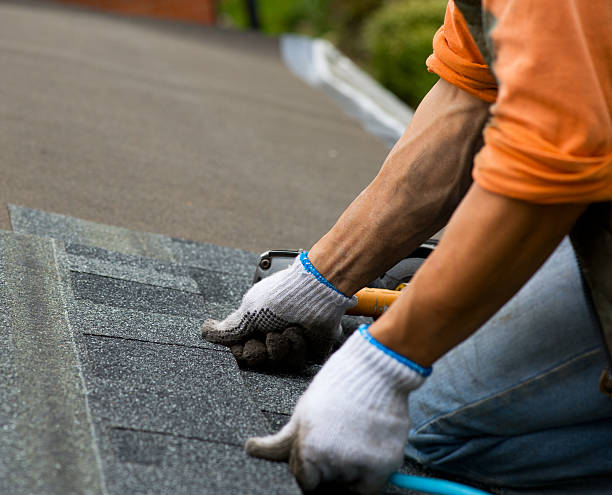 Best New Roof Installation  in Forest City, PA