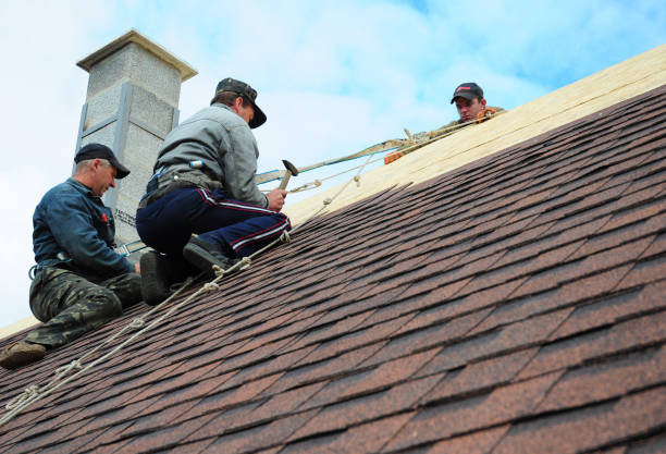 Best Residential Roofing Contractor  in Forest City, PA