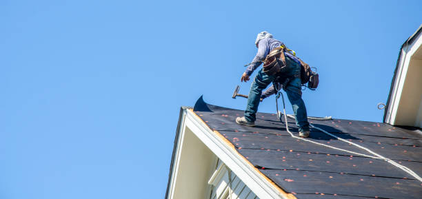 Best Roof Repair Services  in Forest City, PA
